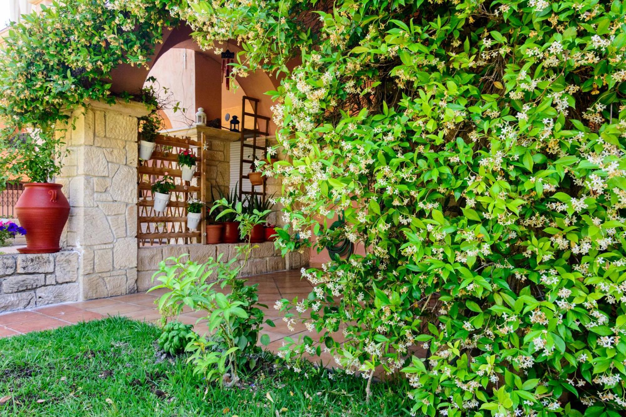 La Luna House Pefkochori Bagian luar foto